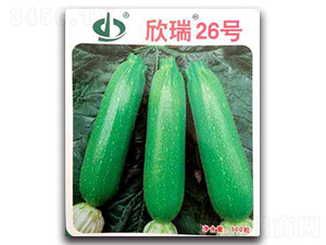����26��-����«����-��������