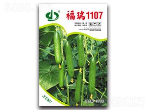 ����1107-�ƹ�����-��������