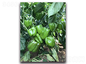 �н�1615-��������-��������
