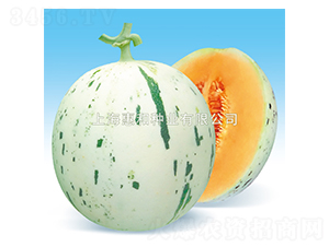 ��¶-�������-�ݺ���ҵ