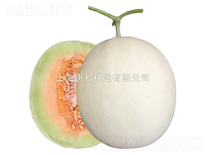 ���-�������-�ݺ���ҵ