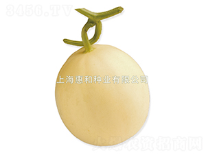 ������������-�������-�ݺ���ҵ