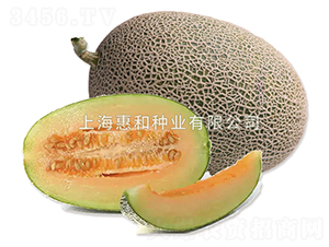 ����0526-�������-�ݺ���ҵ