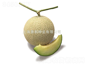 ����867-�������-�ݺ���ҵ