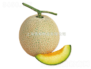 �ظ�-�������-�ݺ���ҵ