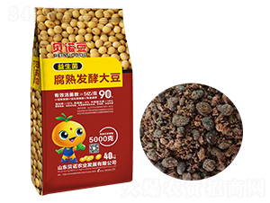 ���������췢�ʹ�-��ŵ