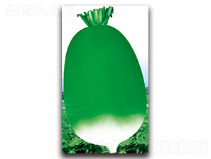 �¿�791-�ܲ�����-��ʥ��