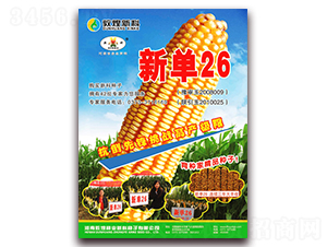 �µ�26-��������-��ʥ��