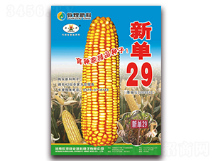 �µ�29-��������-��ʥ��
