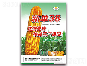 �µ�38-��������-��ʥ��