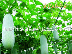 �ӽ�һ����������С��������-���ũҵ