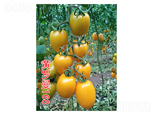 ������168-ӣ�ҷ�������-��԰��ҵ