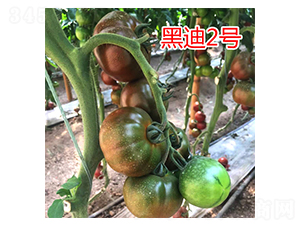 �ڵ�2��-��������-��԰��ҵ