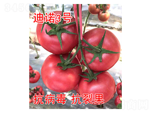 ��ŵ3��-��������-��԰��ҵ