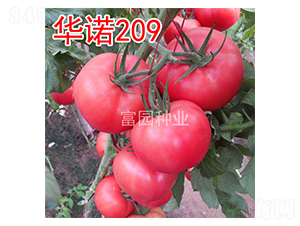 ��ŵ209-��������-��԰��ҵ