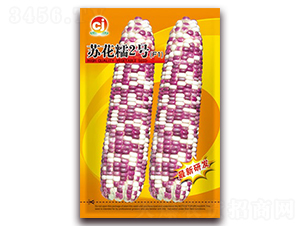 �ջ�Ŵ2��-Ŵ��������-��������
