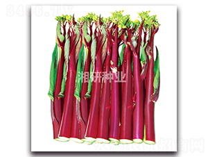 ���СҶ����-Ҷ������-������ҵ
