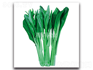 ����޷�ߺ�-Ҷ������-������ҵ