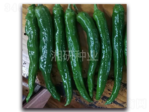 ��Ƥ2307-ţ�ǽ�����-������ҵ