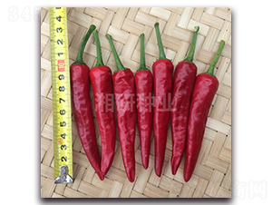 �ɺ�-���콷����-������ҵ