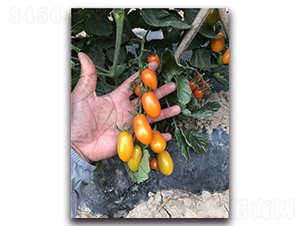 �ƾ�3��-������������-Ψũ��ҵ