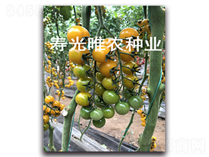 ��ɫ����1��F1-ӣ�ҷ�������-Ψũ��ҵ