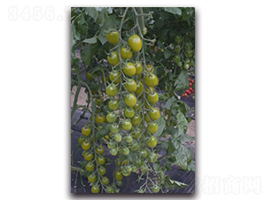������2��-ӣ�ҷ�������-Ψũ��ҵ