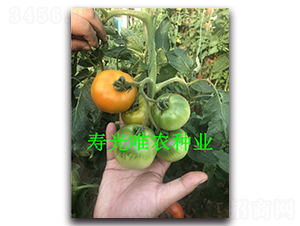 ������Ʋ�ݮ-��������-Ψũ��ҵ