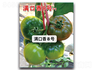 ������8��-��������-Ψũ��ҵ