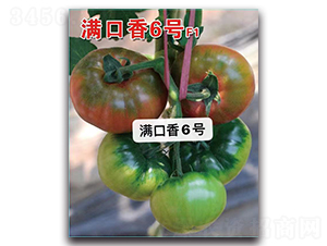 ������6��-��������-Ψũ��ҵ