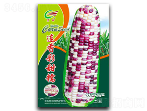 �������Ŵ-Ŵ��������-����