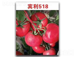 ����518F1-�۹���������-Ψũ��ҵ