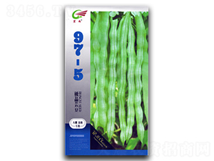 97-5-ܿ������-����