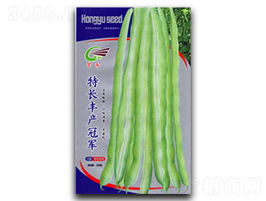 �س�����ھ�-ܿ������-����
