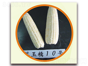 ����Ŵ10��-Ŵ��������-�к���ҵ