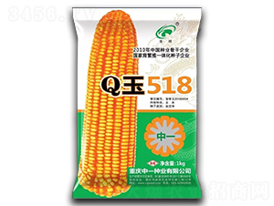Q��518-��������-��һ��ҵ