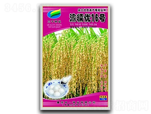 ��Ŵ��16��-ˮ������-��һ��ҵ