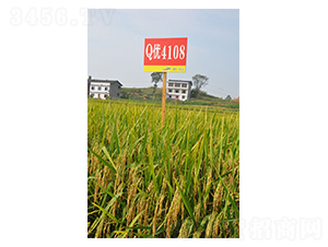 Q��4108-ˮ������-��һ��ҵ