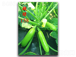 ����158-����������«����-ũ��ũҵ