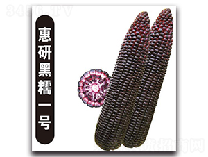 ���к�Ŵһ��-Ŵ��������-�д��Ƿ�
