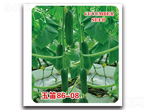 ���86-08-�ƹ�����-�д��Ƿ�