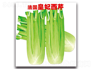 ������������-�۲�����-�д��Ƿ�