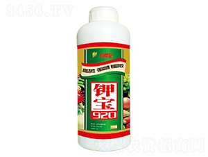 �ر�920-������-�λ�����