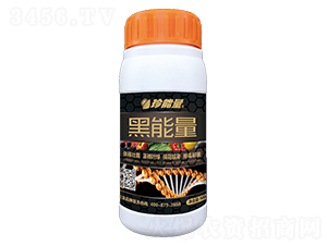 500g������-������-�λ�����
