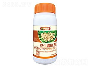 500ml�������׼�-������-�λ�����