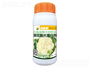 500g�˻�������׼�-������-�λ�����