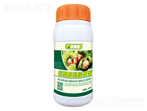 500g�������������-������-�λ�����
