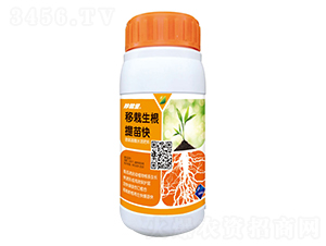 500g�������������-������-�λ�����