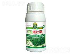 100ml�о��Ⱛ׳��-������-�λ�����