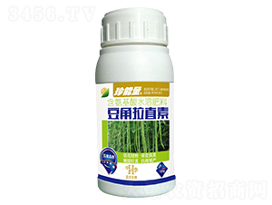 120g������ֱ��-������-�λ�����